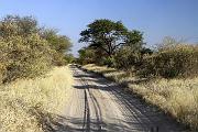 BOTSWANA Roberto e Lidia - 011
